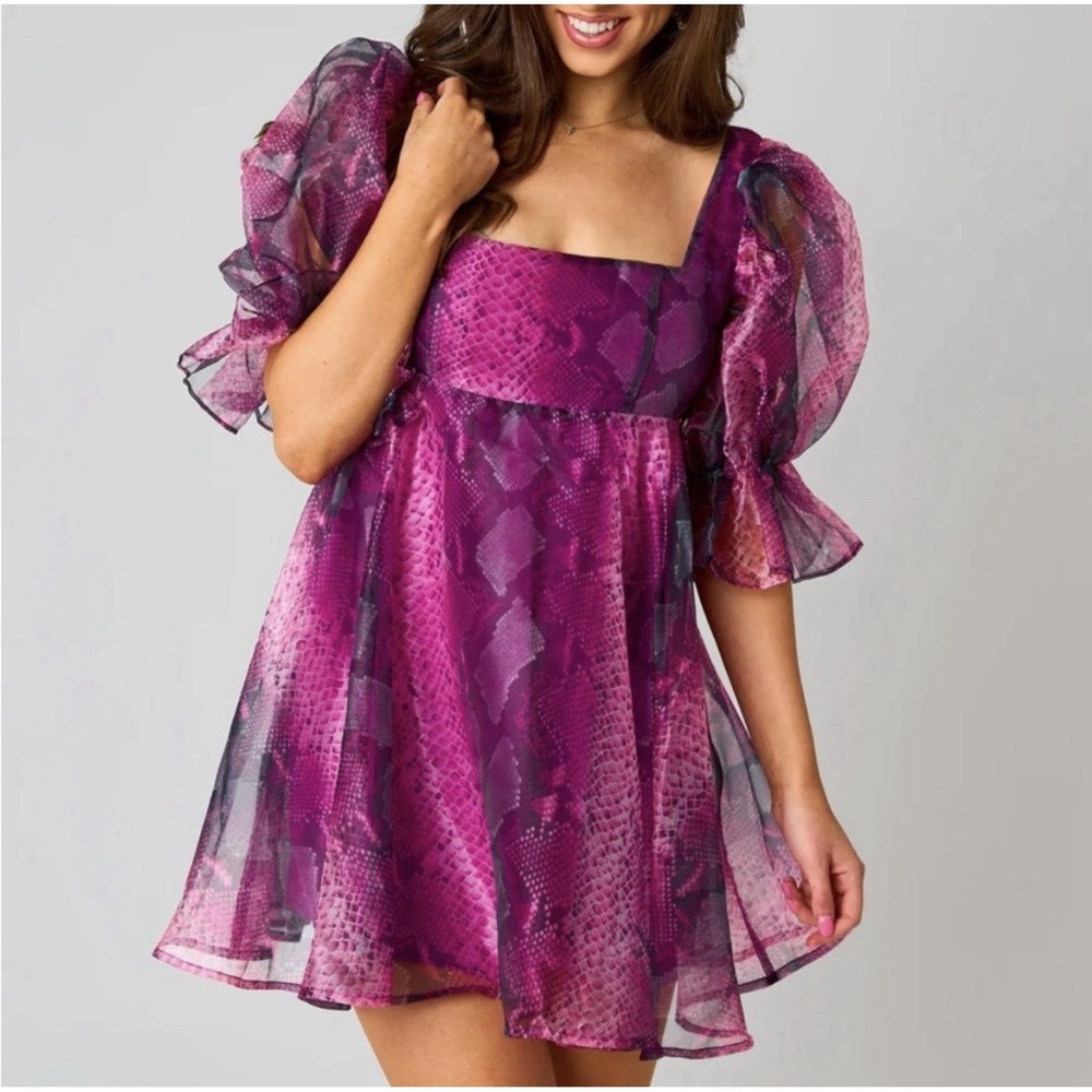 Buddy Love Women's Sz M Betsy Puff Sleeve Babydoll Dress Preppy Country Glam NWT - Picture 1 of 15